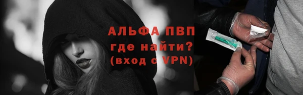 стаф Абаза